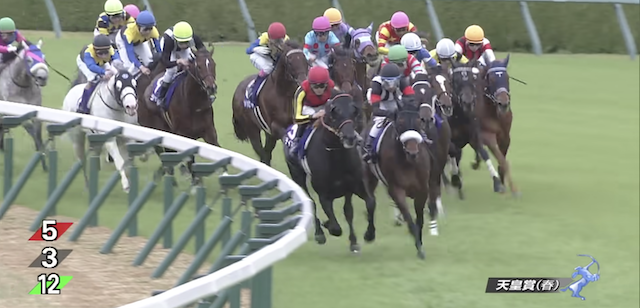 阪神競馬場特徴