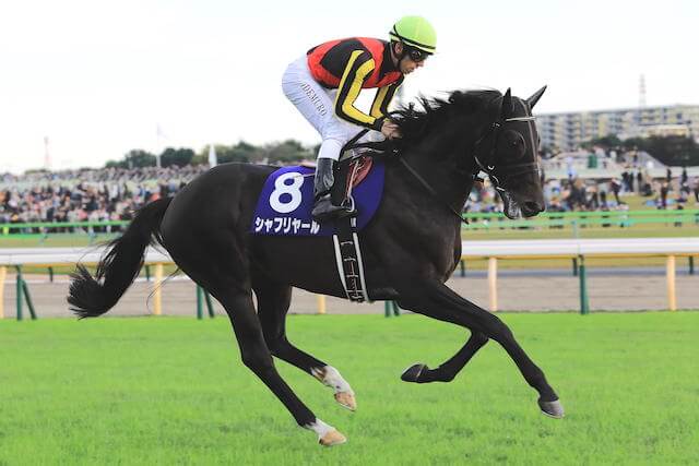 シャフリヤール