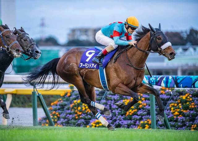 牡馬牝馬アーモンドアイ