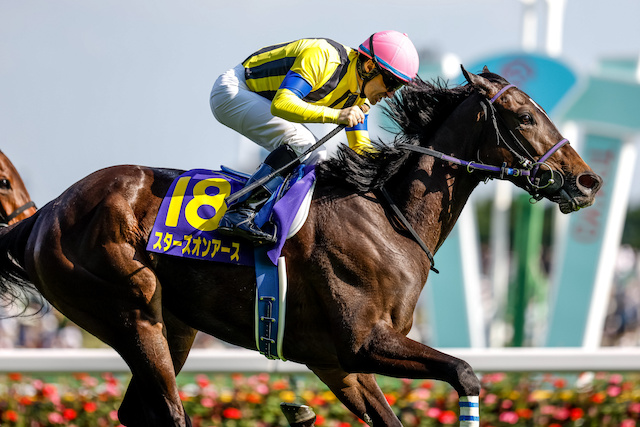 スターズオンアース